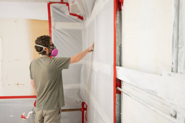 Best Basement Mold Removal  in Creighton, NE