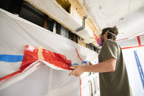 Best Asbestos and Lead Testing During Mold Inspection  in Creighton, NE