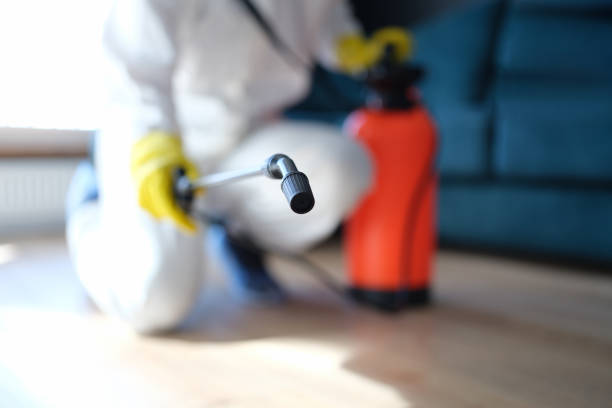 Best Crawl Space Mold Remediation  in Creighton, NE