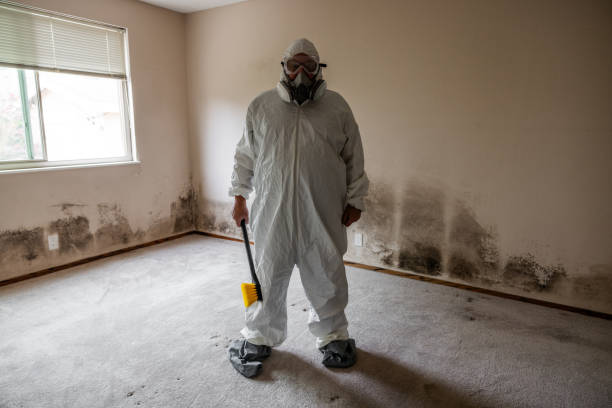 Best Mold Documentation for Insurance Claims  in Creighton, NE
